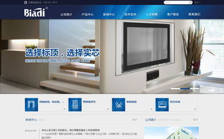 沙漠風網站建設公司 標頂官方網站設計制作成功案例
